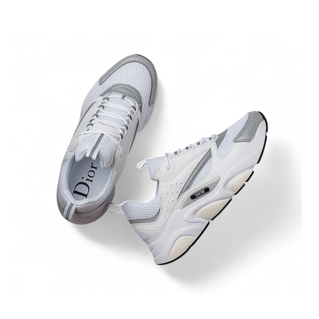 Dior B22 White Grey