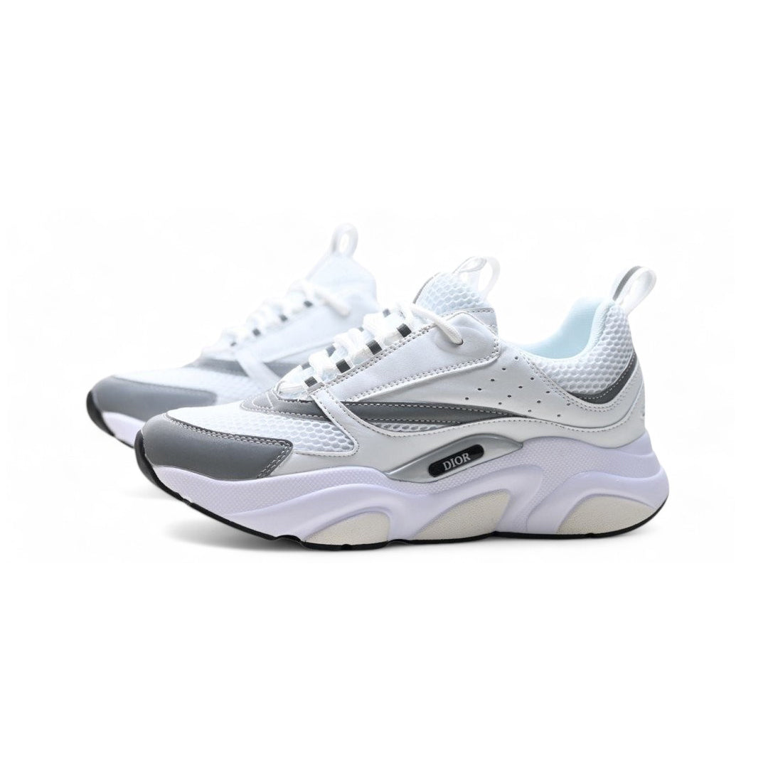 Dior B22 White Grey