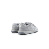 Dior B9S Skater Grey
