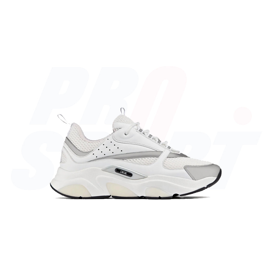 Dior B22 White Silver