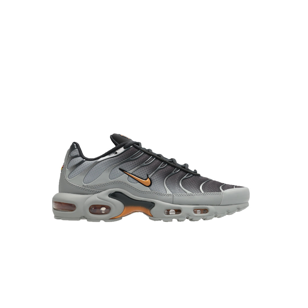 Nike Air Max Plus Tuned 1
