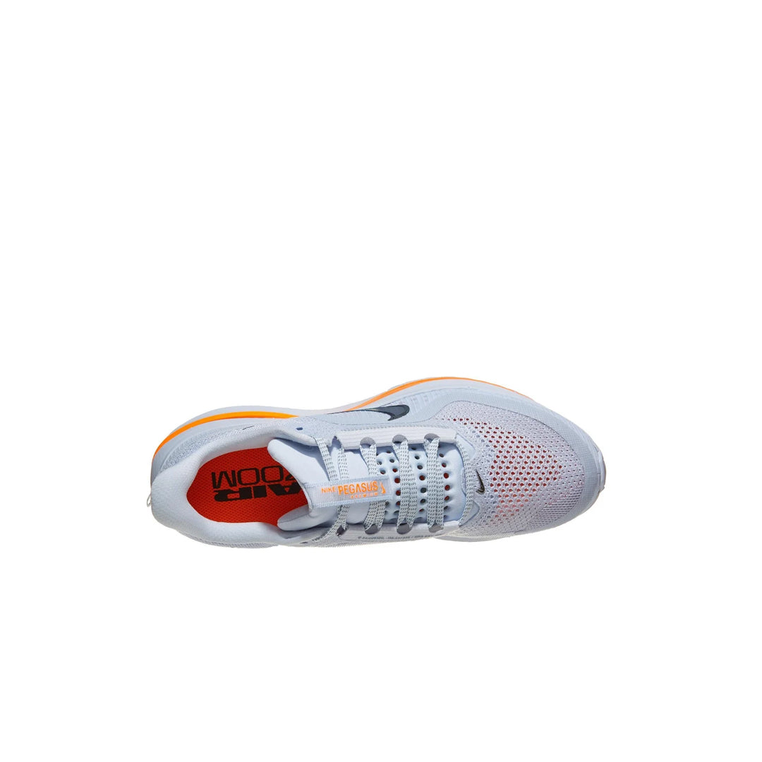 Nike Pegasus Premium Airscape