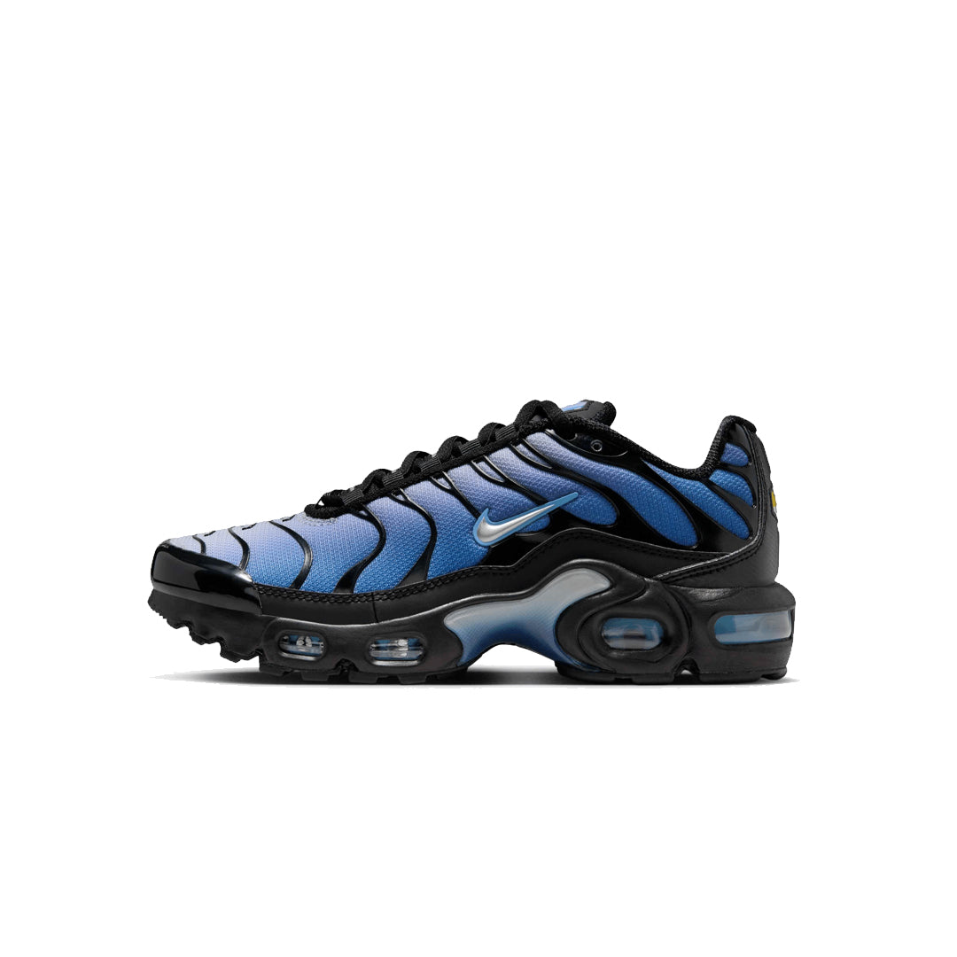 Nike Air Max Plus Blue Gradient