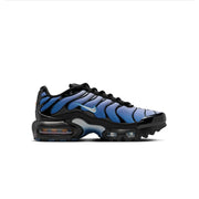 Nike Air Max Plus Blue Gradient