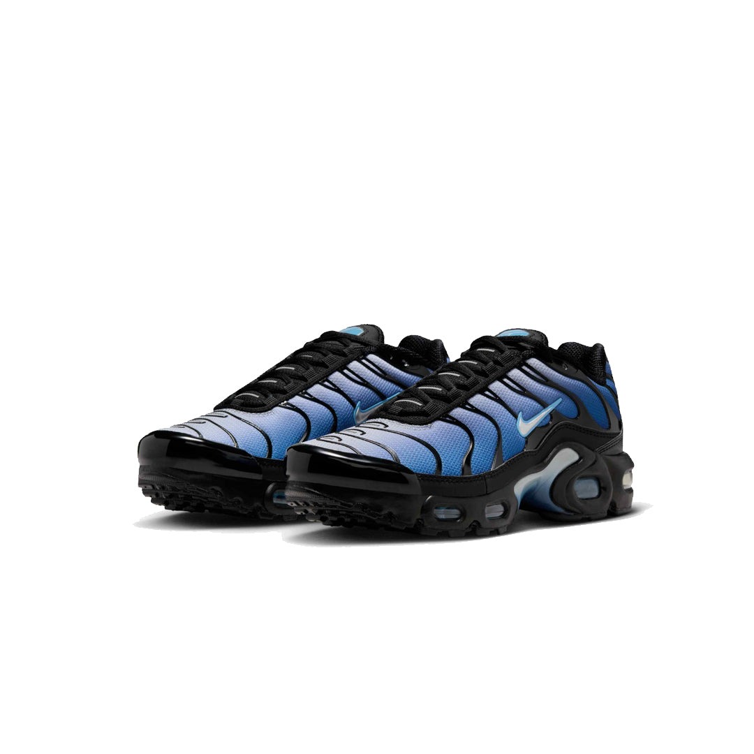 Nike Air Max Plus Blue Gradient