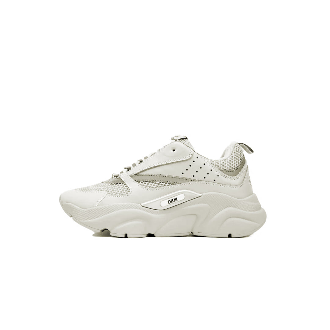 Dior B22 Lime Gris