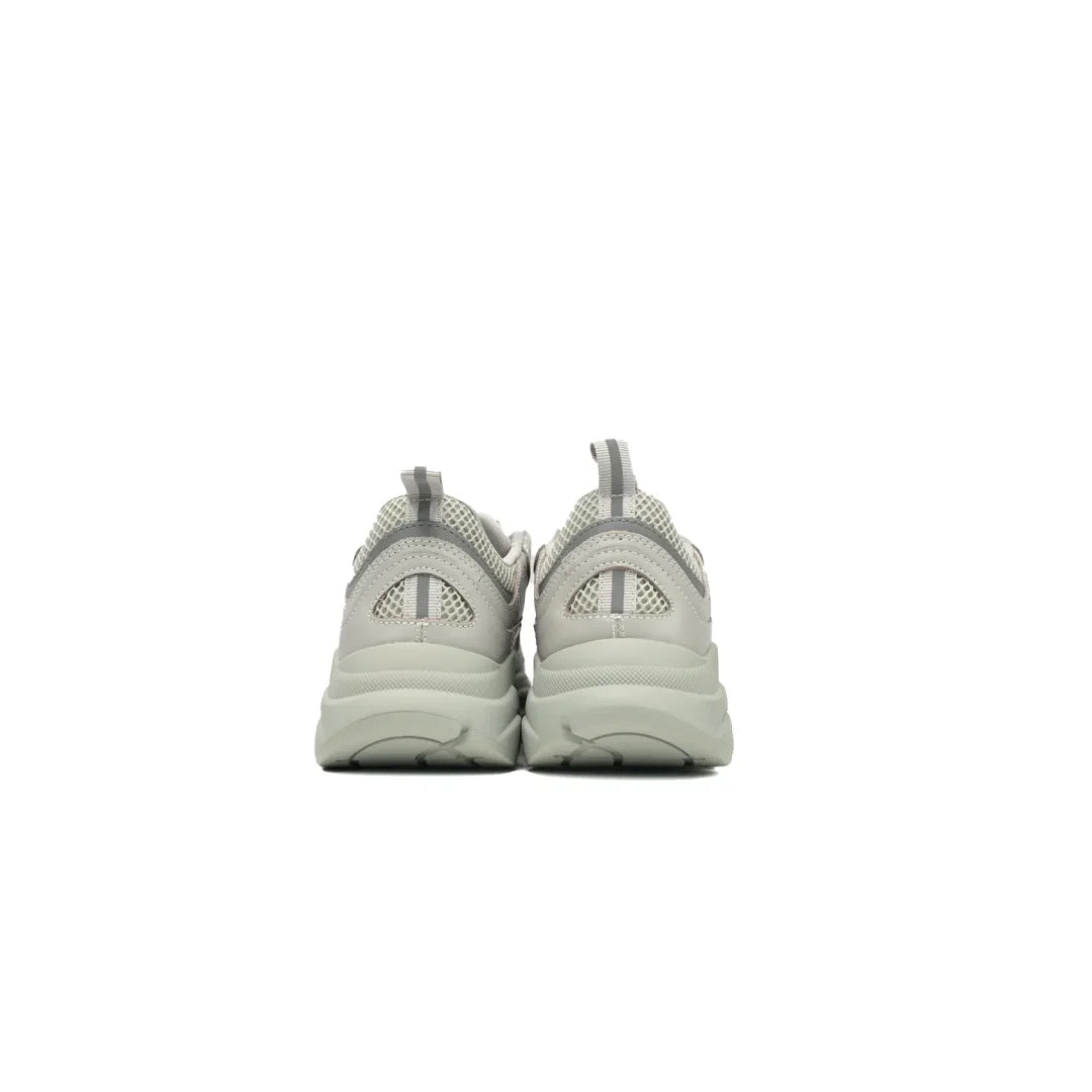 Dior B22 Lime Gris