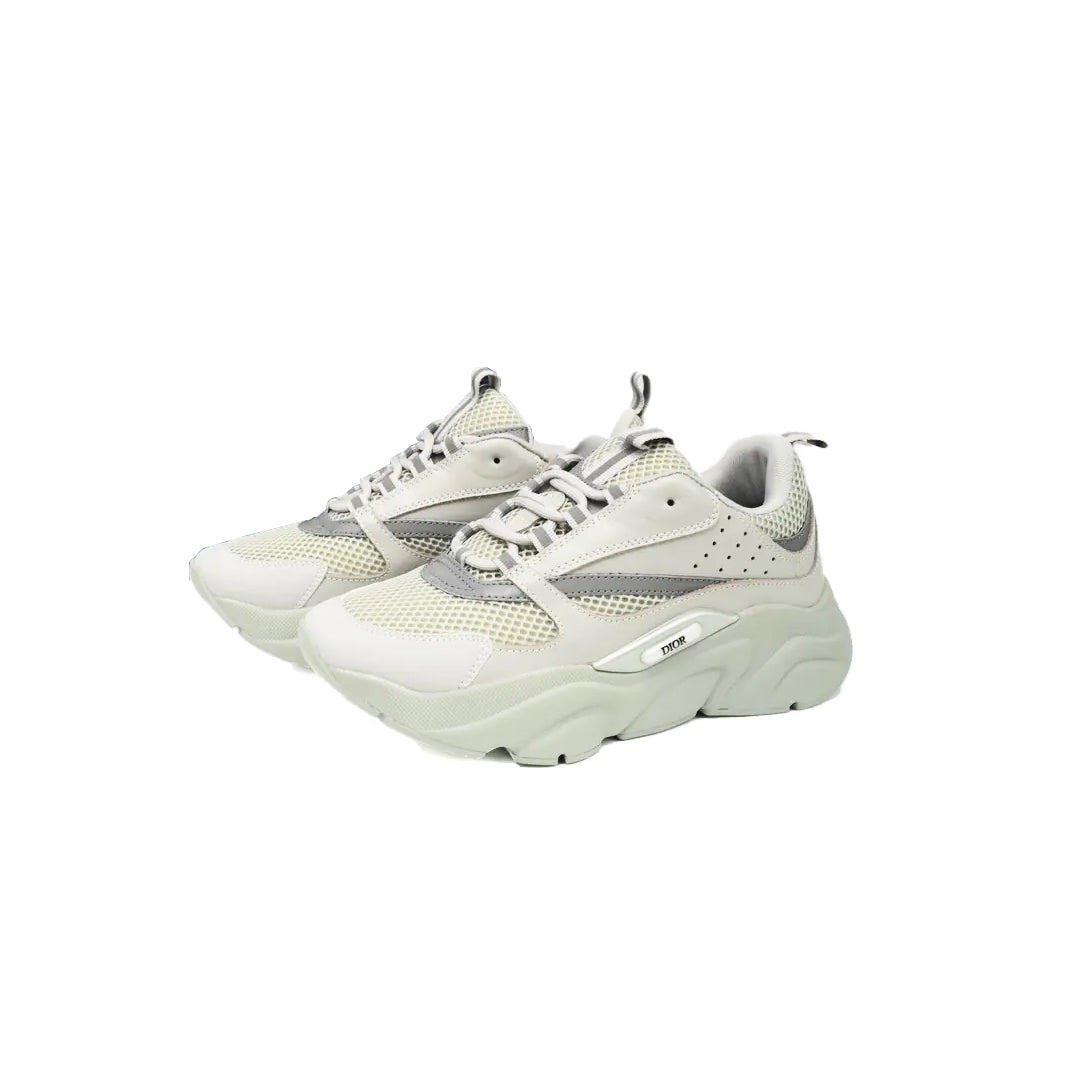 Dior B22 Lime Gris