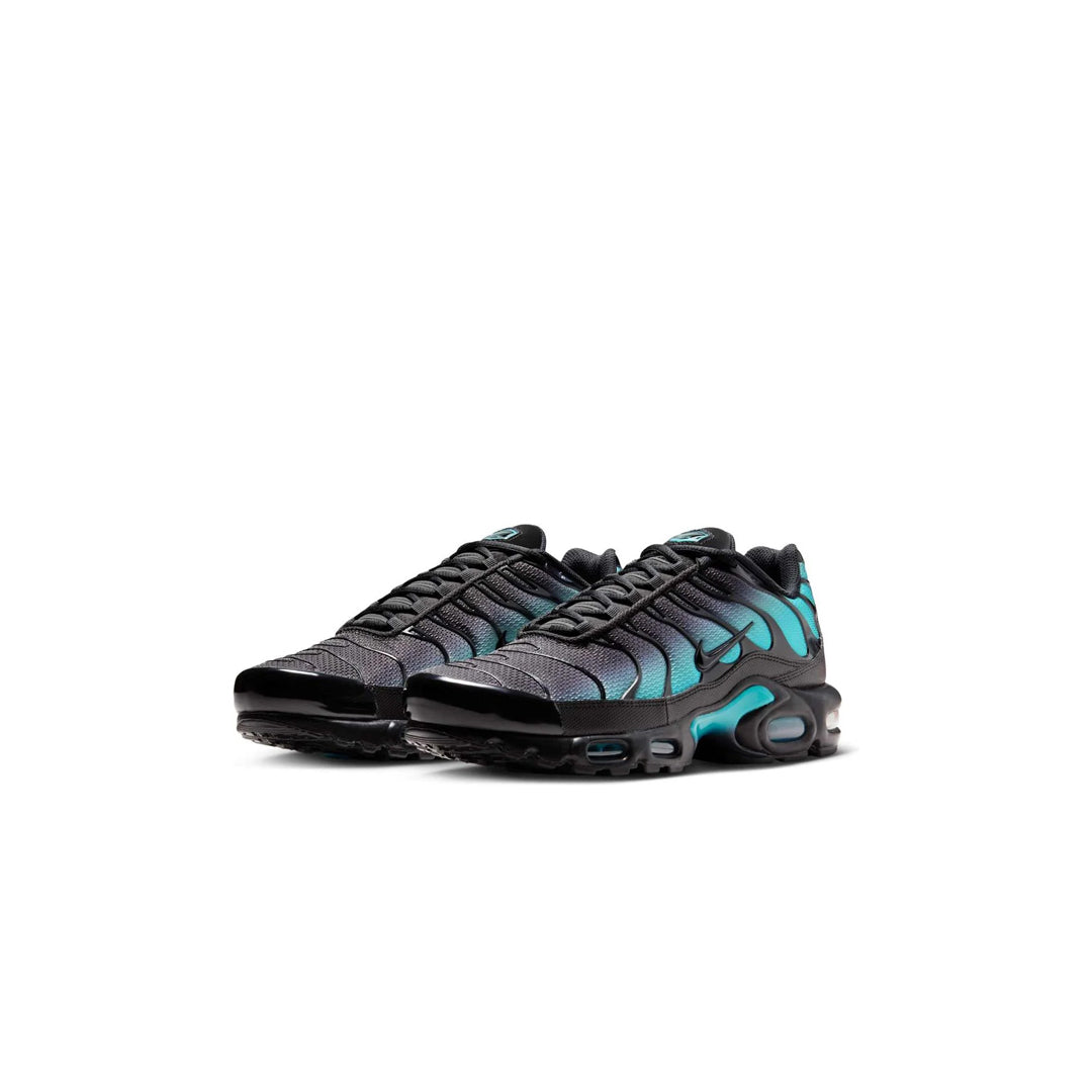 Nike Air Max Plus Cactus