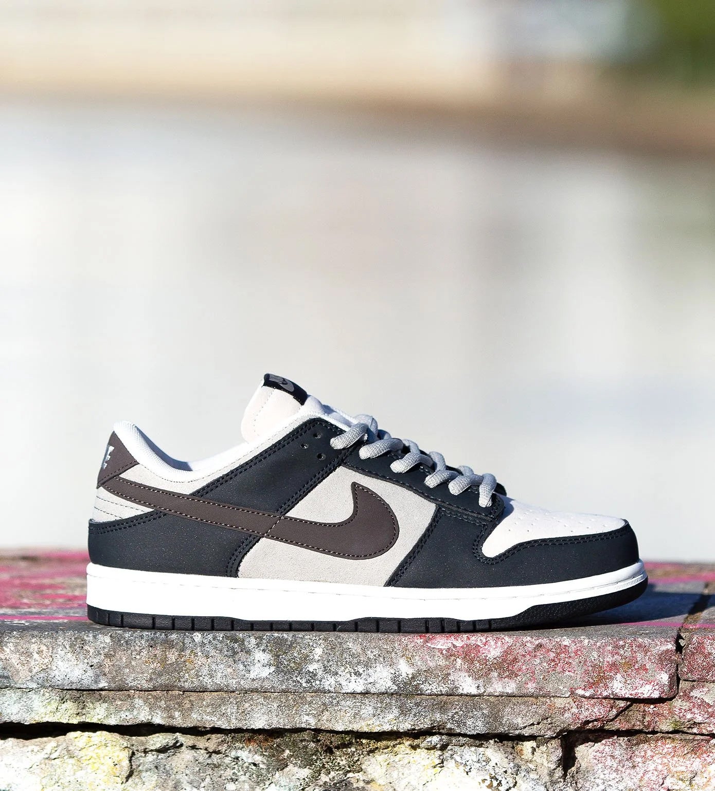 Nike Dunk Low Otomo Katsuhiro